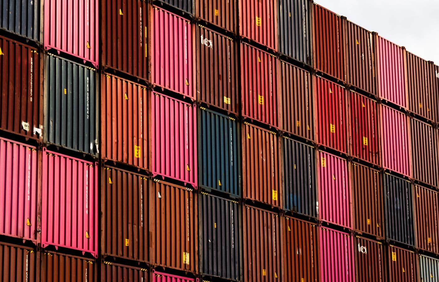 Reefer containers of Indian produce for importers and distributors