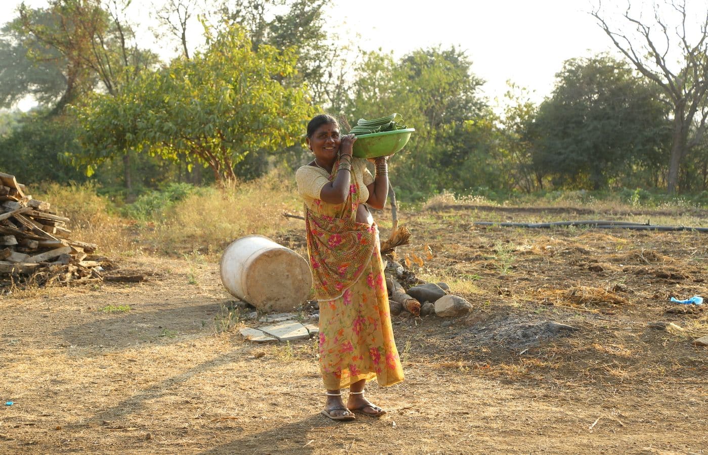 Indian farm fields supplying APEDA-registered produce exports