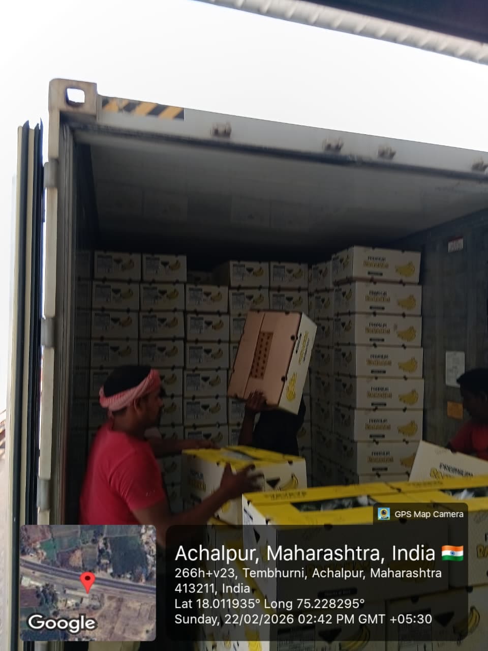 P.S AgriExports packhouse — produce grading, packing, and container loading — photo 1