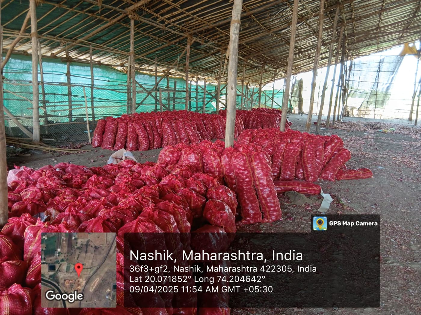 P.S AgriExports packhouse — produce grading, packing, and container loading — photo 4