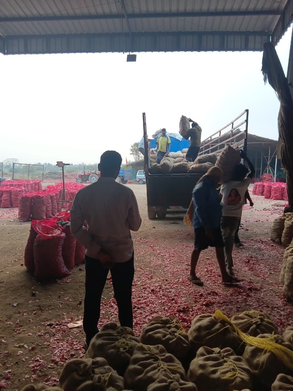 P.S AgriExports packhouse — produce grading, packing, and container loading — photo 7