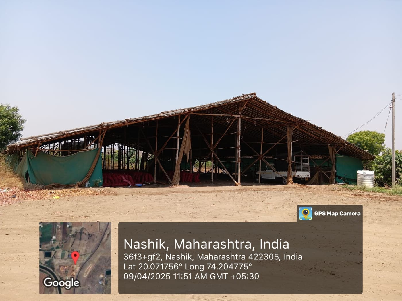 P.S AgriExports packhouse — produce grading, packing, and container loading — photo 11