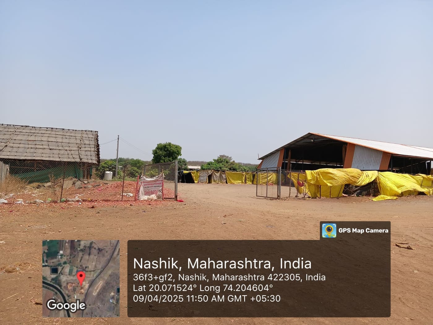 P.S AgriExports packhouse — produce grading, packing, and container loading — photo 14