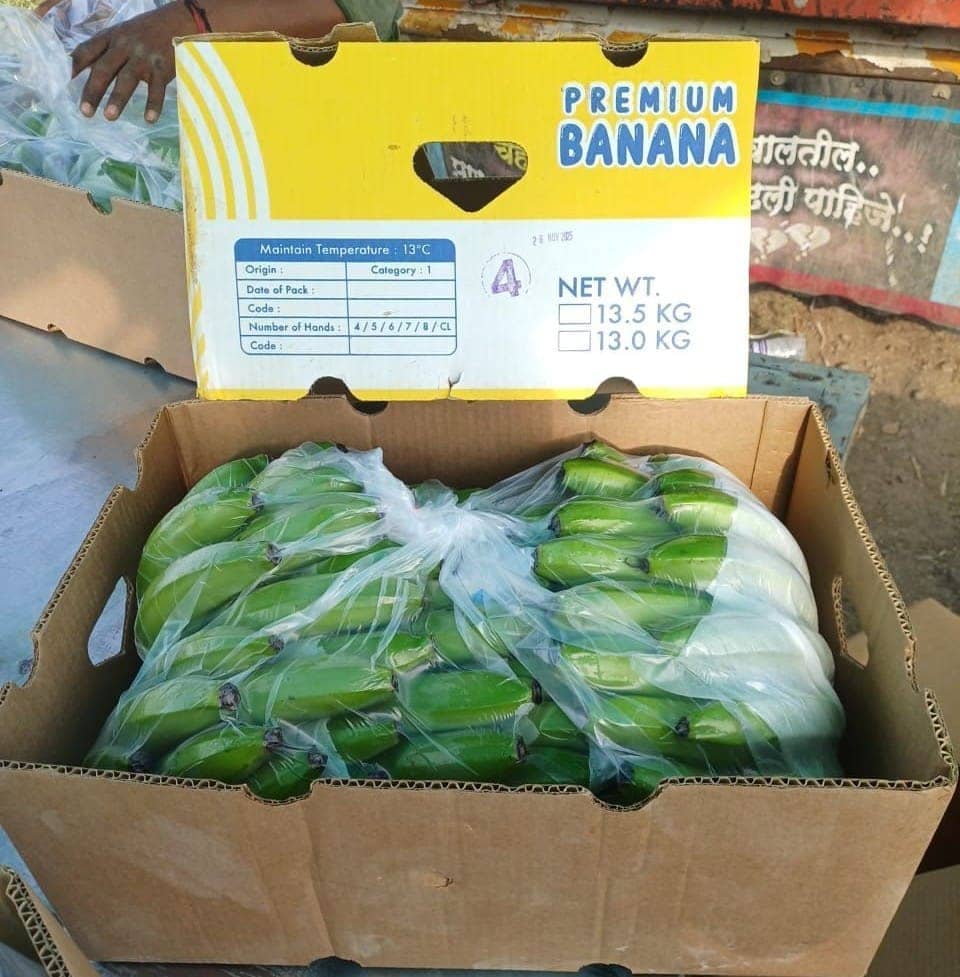 Fresh export-grade Indian fruits and vegetables graded for export — photo 3