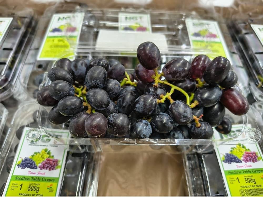 Fresh export-grade Indian fruits and vegetables graded for export — photo 16