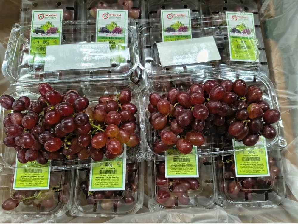 Fresh export-grade Indian fruits and vegetables graded for export — photo 17