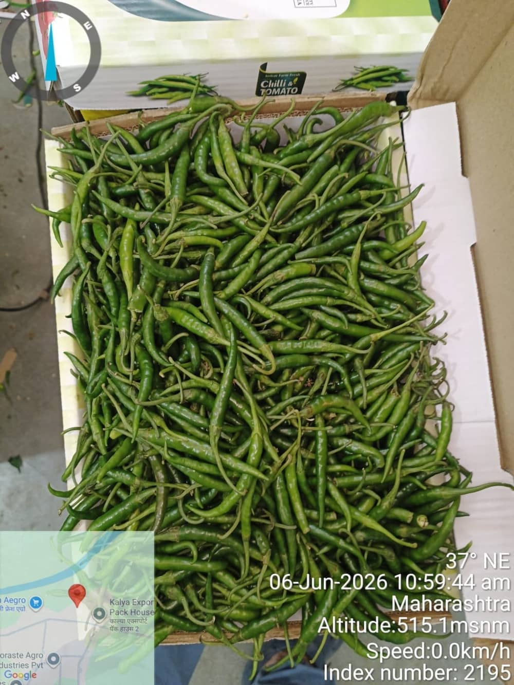 Fresh export-grade Indian fruits and vegetables graded for export — photo 19