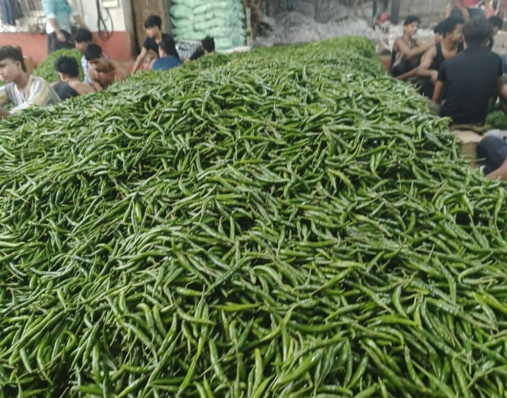 Fresh export-grade Indian fruits and vegetables graded for export — photo 22