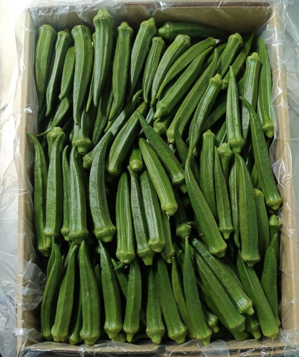 Fresh export-grade Indian fruits and vegetables graded for export — photo 26