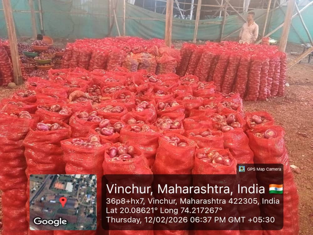 Fresh export-grade Indian fruits and vegetables graded for export — photo 32