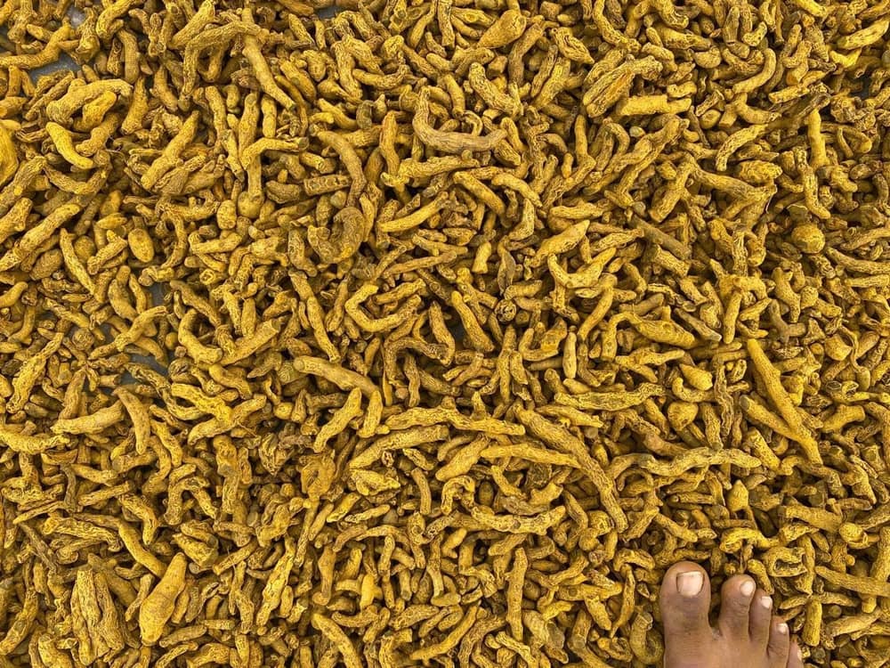 Fresh export-grade Indian fruits and vegetables graded for export — photo 43