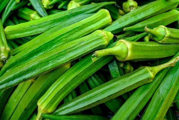 Fresh tender okra pods graded for export