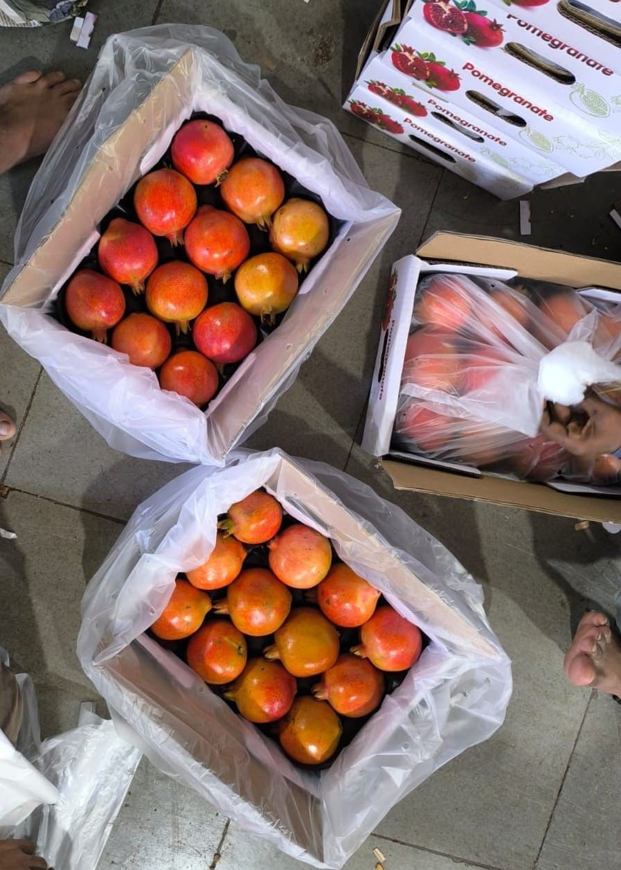 Bhagwa pomegranates graded for export to Bangladesh