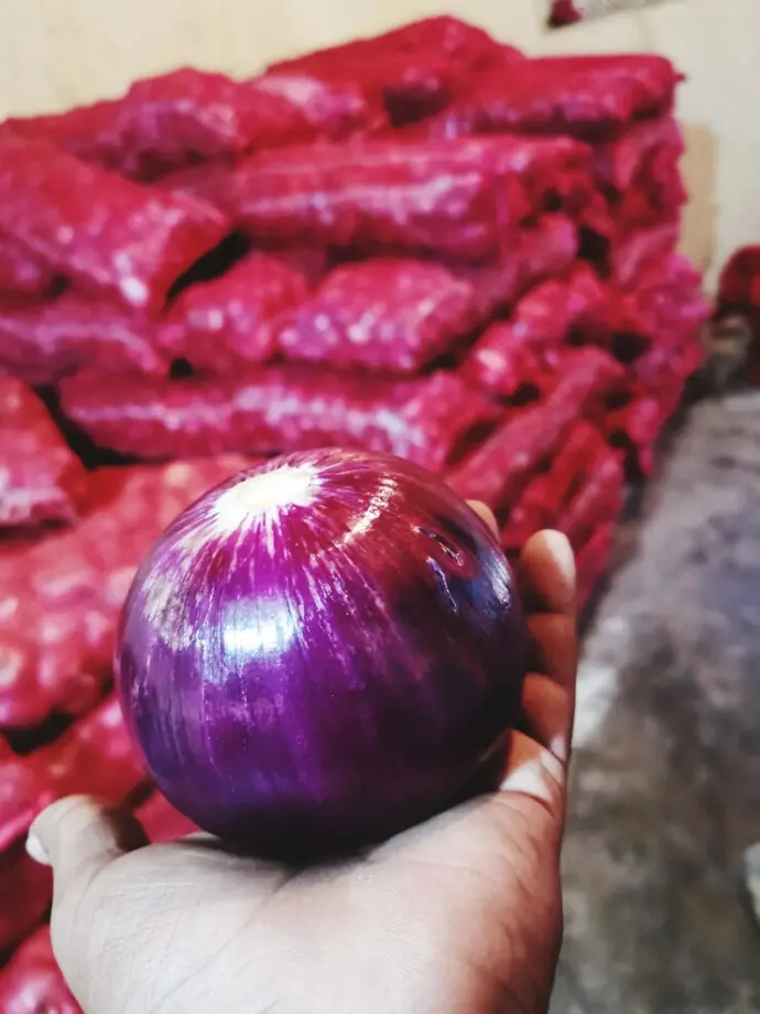 onion