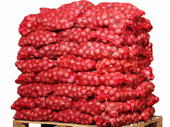 Onion export packaging