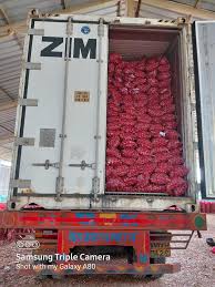 onion in container