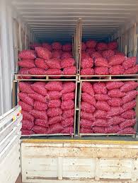onion truck loading