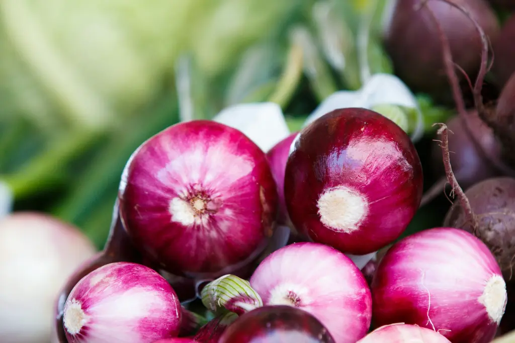 unsplash_U4YdDVliDlA_onions.webp