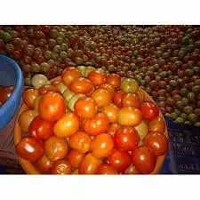 images (8).webp