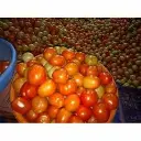 images (8).webp