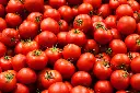 istockphoto-488113940-612x612.webp