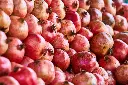 unsplash_w35cwwLmPLc_Fresh Pomegranates.jpg.jpg.webp