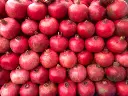 pomogrante exports1.webp