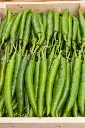 high-angle-view-vegetables-market_1048944-20390979.webp