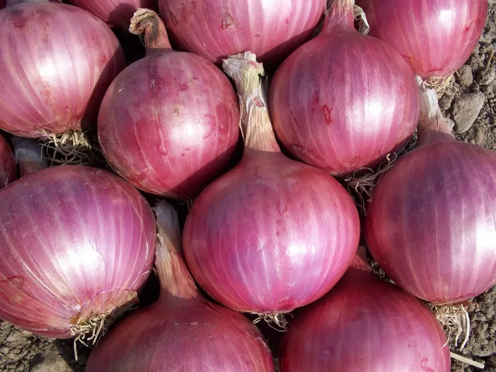 vegetables-1430062_1280.webp