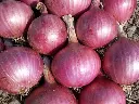 vegetables-1430062_1280.webp