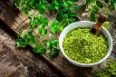 istockphoto-1336503084-612x612.webp