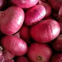 images (1).webp
