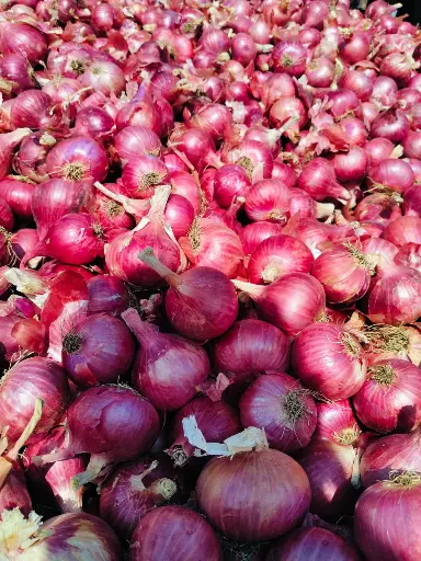 Red Fresh Onions