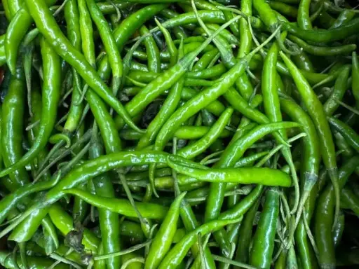 Green Fresh Chilies (G4) 
